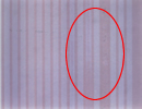 991125100f6c00d4b7ded17855300a08_5.jpg