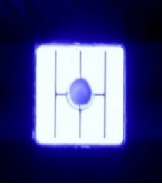 11.png